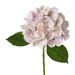 Flor de plástico: hortensia KLUVT, rosa, 50cm