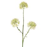 Allium artificial ALIKIO, blanco, 65 cm, Ø 7 cm