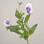 Stiefmütterchen Zweig künstlich SILANA, weiß-violett, 30cm, Ø3-6cm
