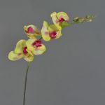 Rama textil de orquídea Phalaenopsis DAJANA, amarillo-fucsia, 80cm, Ø6-11cm