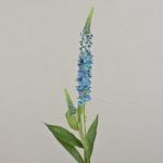 Kunstblume Ehrenpreis LORETA, hellblau, 75cm, Ø4cm