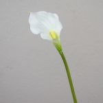 Calla de plástico PEPITA, blanco, 55cm, 7x11cm