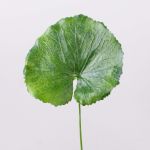 Hoja de geranio sintética HEIDEGARD, verde, 38cm, Ø13cm