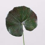 Hoja artificial de geranio HEIDEGARD, verde y rojo, 38cm, Ø11cm
