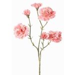 Rama decorativa de clavel STURYN, rosa claro, 55 cm, Ø 2,5-6 cm