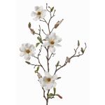 Magnolia falsa MARGA, blanca, 80cm, Ø6-8cm