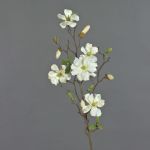 Magnolia falsa MARGA, blanca, 80cm, Ø6-8cm