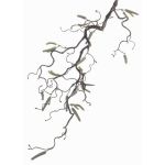 Rama de avellano de plástico XANCHO con amentos, marrón, 65cm, Ø0,5cm