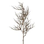 Rama decorativa de espina de Cristo SPROLI, marrón, 70 cm