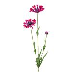 Rama artificial de margarita NIELAY, rojo burdeos, 65cm