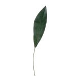 Hoja de palmera artificial Aspidistra PAISA, 75cm