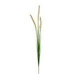 Deko Zweig Lampenputzergras RILVO, Rispen, grün-rosa, 90cm