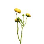 Rama decorativa de ranúnculos JIXIANG, amarilla, 50cm