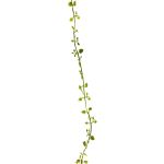 Guirnalda artificial de Muehlenbeckia JIAMIN, verde, 240 cm