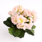 Begonia sintética IVANA con palo, rosa-blanco, 20cm, Ø3-5cm