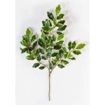 Rama falsa de ficus Benjamini AJITH, verde-blanco, 45cm