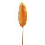 Hoja de plástico de estrelitzia YISHAO, naranja-rosa, 90 cm