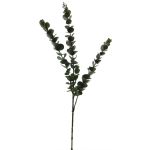 Rama de eucalipto artificial XIJIAN, verde, 75 cm
