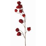 Rama sintética de physalis AINOS, frutos, purpurina, rojo burdeos, 80cm