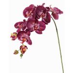 Rama de flores artificial de orquídea Phalaenopsis WESA, violeta oscuro-blanco, 90cm, Ø11-12,5cm