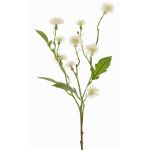 Planta decorativa de centáurea de prado HOLLA, blanca, 55 cm, Ø 3-4 cm