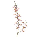 Rama de orquídea Cattleya artificial TRASSA, violeta-blanco-amarillo, 80 cm, Ø 4-8 cm