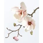 Magnolia de plástico MALBINE, blanco-rosa, 50cm, Ø6-10cm