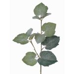 Rama de tilo artificial NADJA, 50cm