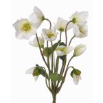Rosa de Navidad de plástico HALLA con palo, blanca, 30cm, Ø7cm