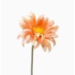 Gerbera artificial BILFON, color melocotón, 50cm