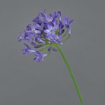 Agapanthus de plástico PHILINA, lila, 75cm, Ø14cm