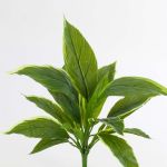 Cordyline de plástico VALDA con palo, verde-blanco, 30cm