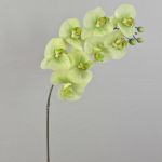 Rama textil orquídea Phalaenopsis AURELIA, verde crema, 95cm