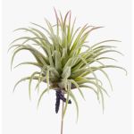 Falsa Tillandsia Rubra PENNY, con palo, verde-rojo, 12cm, Ø10cm