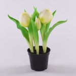Kunsttulpe CAITLYN im Dekotopf, weiß-grün, 25cm, Ø2-6cm