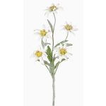 Edelweiss de plástico SOPHIA, blanco, 40cm, Ø5-6cm