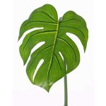Hoja de plástico de Philodendron Monstera Deliciosa LANDER, 55cm