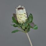 Flor falsa Protea NELLI, blanco-amarillo, 75cm, Ø8cm