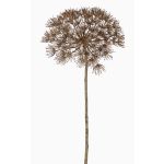 Pie de oso planta de plástico ANSARI, marrón, 80cm, Ø22cm