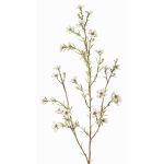 Flor de cera de plástico NIANG, crema, 80cm, Ø1,5-2,5cm