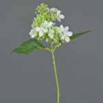 Hortensia artificial CHABY, blanco-verde, 30cm, Ø9cm