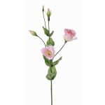 Lisianthus de plástico JUDIKA, rosa, 70cm, Ø5cm