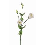 Lisianthus de plástico JUDIKA, blanco-verde, 70cm, Ø5cm