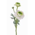 Ranúnculo de plástico YAKIRA, blanco-verde, 40cm, Ø4-9cm