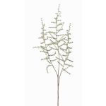 Rama artificial de esparrago amarguero JOCHEN, verde, 70cm