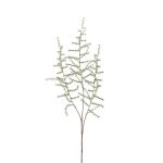 Rama artificial de esparrago amarguero HANS, verde, 70cm