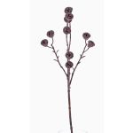 Rama de eucalipto de plástico BASILIUS con frutos, marrón, 60cm