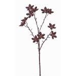 Rama de anís estrellado artificial DELANO con frutos, marrón, 60cm