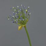 Allium de plástico KATYNA, azul, 70cm