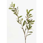Rama de olivo de plástico PARKER con frutos, 80cm